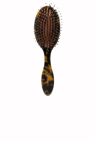 Everyday Hair Brush In Classic Tortoise - Classic Tortoise Hair Accessories Machete Monkee's of The Woodlands