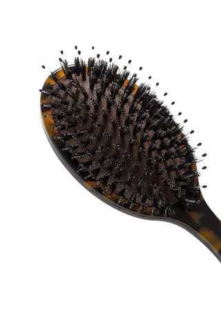 Everyday Hair Brush In Classic Tortoise - Classic Tortoise Hair Accessories Machete Monkee's of The Woodlands