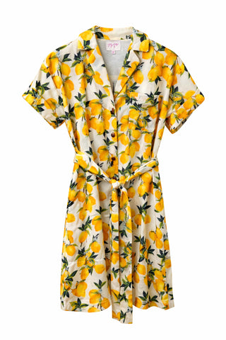 Pocket Shirt Dress - Lemon Grove Dresses Joy Joy Monkee's of The Woodlands