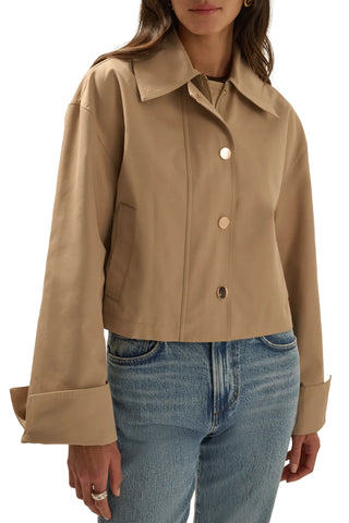 The Rue Cropped Trench