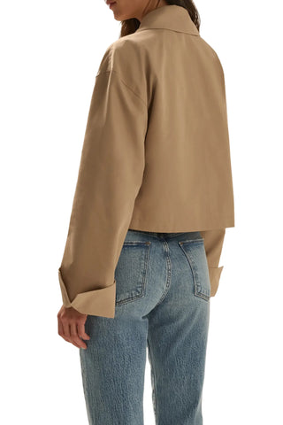 The Rue Cropped Trench
