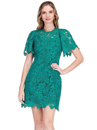 Short Sleeve Lace Dress - Green | Stylish Green Lace Dress Monkee's of The Woodlands Short Sleeve Lace Dress - Green | Stylish Green Lace Dress Monkee's of The Woodlands